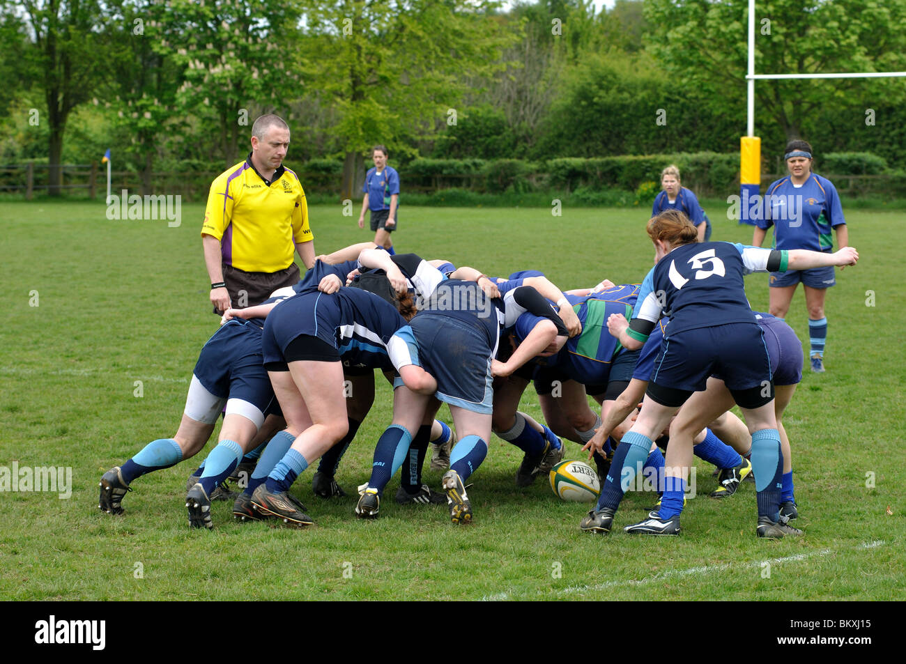 Women`s Rugby Union Stock Photo